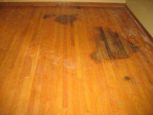 Stains and Wrinkling Are Problems with Hard Wood Floors but Royal ... - EIN News (press release)