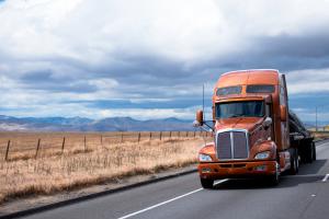https://e-trucktax.com/