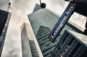 Language Insight - New office in New York City