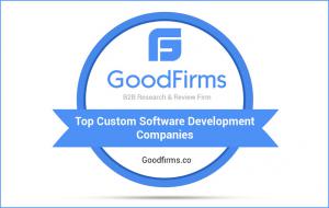Top Custom Software Development Companies