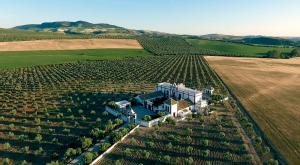 Aerial of prestigious mansion outside Seville Spain