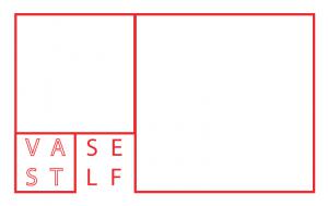 Logo of Vast Self Corporation