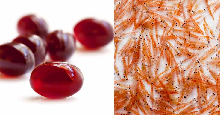 Krill Oil Market1