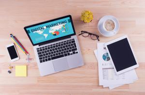 Rosaline Digital Marketing Company