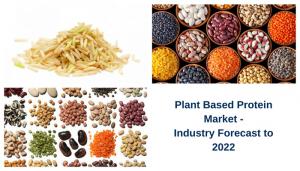 Plant Based Protein Market