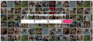 Mypetyourpetlogo