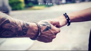 natural python and black python bracelets