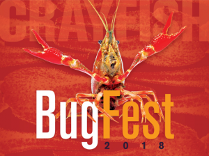 Each year over 35,000 visitors come to BugFest to experience over 100 exhibits, crafts, games and activities. The venue provides the opportunity for attendees to interact with entomologists, scientists and learn about the fascinating world of bugs.